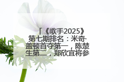 《歌手2025》第七期排名：米奇·盖顿首夺第一，陈楚生第二，郑欣宜将参加下一轮张榜赛