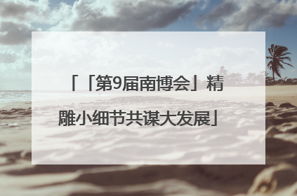 「第9届南博会」精雕小细节共谋大发展