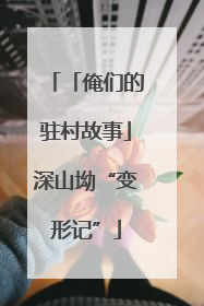 「俺们的驻村故事」深山坳“变形记”