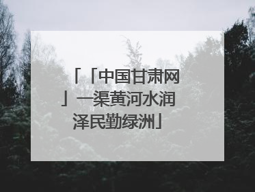 「中国甘肃网」一渠黄河水润泽民勤绿洲