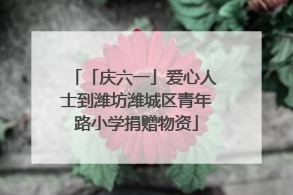 「庆六一」爱心人士到潍坊潍城区青年路小学捐赠物资