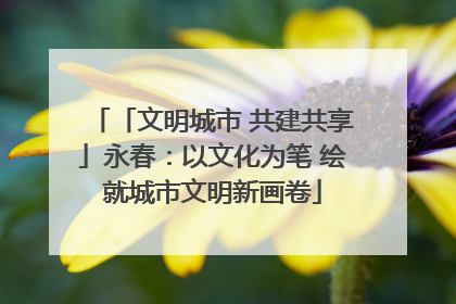 「文明城市 共建共享」永春：以文化为笔 绘就城市文明新画卷