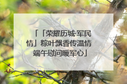 「荣耀历城·军民情」粽叶飘香传温情 端午慰问暖军心