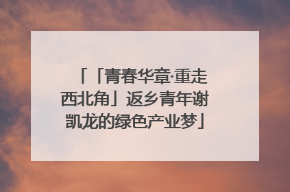 「青春华章·重走西北角」返乡青年谢凯龙的绿色产业梦