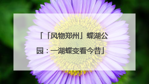 「风物郑州」蝶湖公园：一湖蝶变看今昔