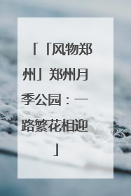 「风物郑州」郑州月季公园：一路繁花相迎