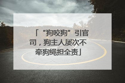 “狗咬狗”引官司，狗主人屡次不牵狗绳担全责