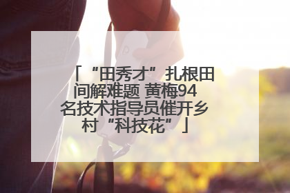 “田秀才”扎根田间解难题 黄梅94名技术指导员催开乡村“科技花”