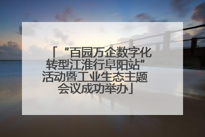“百园万企数字化转型江淮行阜阳站”活动暨工业生态主题会议成功举办