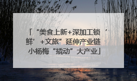 “美食上新+深加工锁‘鲜’+文旅”延伸产业链 小杨梅“撬动”大产业