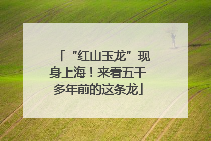 “红山玉龙”现身上海！来看五千多年前的这条龙