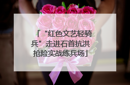 “红色文艺轻骑兵”走进石首抗洪抢险实战练兵场