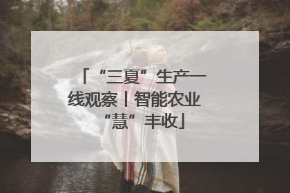 “三夏”生产一线观察丨智能农业“慧”丰收