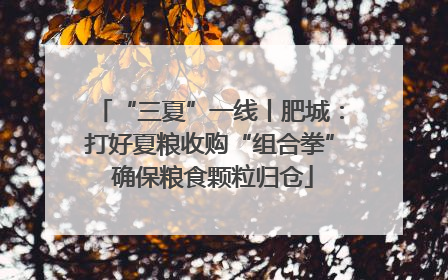 “三夏”一线丨肥城：打好夏粮收购“组合拳” 确保粮食颗粒归仓