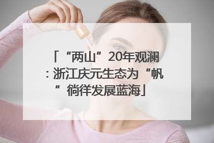 “两山”20年观澜：浙江庆元生态为“帆”徜徉发展蓝海