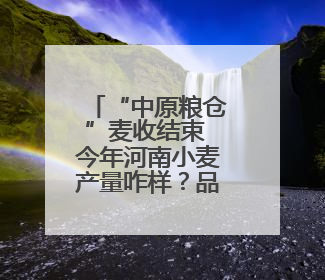 “中原粮仓”麦收结束 今年河南小麦产量咋样？品质如何？