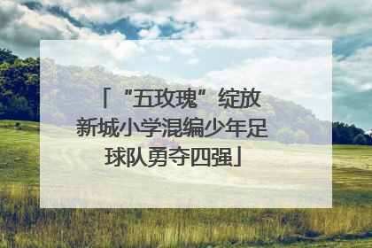 “五玫瑰”绽放 新城小学混编少年足球队勇夺四强