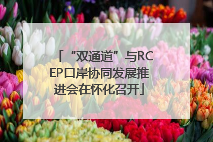 “双通道”与RCEP口岸协同发展推进会在怀化召开