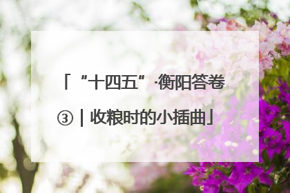 “十四五”·衡阳答卷③｜收粮时的小插曲