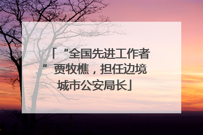 “全国先进工作者”贾牧樵，担任边境城市公安局长