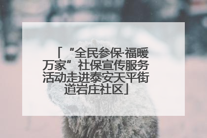 “全民参保·福暖万家”社保宣传服务活动走进泰安天平街道岩庄社区