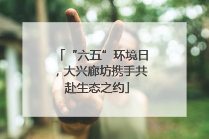 “六五”环境日，大兴廊坊携手共赴生态之约