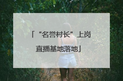 “名誉村长”上岗 直播基地落地