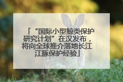 “国际小型鲸类保护研究计划”在汉发布，将向全球推介落地长江江豚保护经验