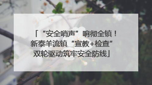 “安全哨声”响彻全镇！新泰羊流镇“宣教+检查”双轮驱动筑牢安全防线