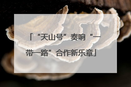 “天山号”奏响“一带一路”合作新乐章