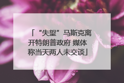 “失望”马斯克离开特朗普政府 媒体称当天两人未交谈