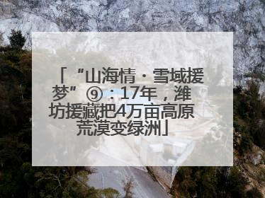 “山海情・雪域援梦”⑨：17年，潍坊援藏把4万亩高原荒漠变绿洲