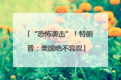 “恐怖袭击”！特朗普：美国绝不容忍