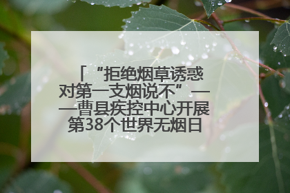“拒绝烟草诱惑 对第一支烟说不”——曹县疾控中心开展第38个世界无烟日科普宣传活动
