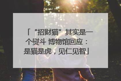 “招财猫”其实是一个熨斗 博物馆回应：是猫是虎，见仁见智