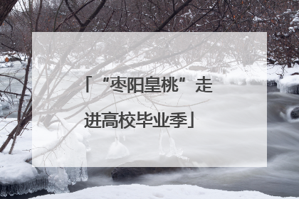 “枣阳皇桃”走进高校毕业季