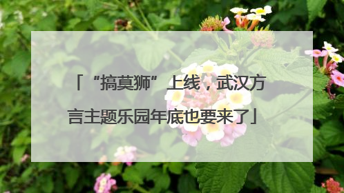“搞莫狮”上线，武汉方言主题乐园年底也要来了