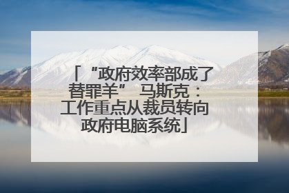 “政府效率部成了替罪羊” 马斯克：工作重点从裁员转向政府电脑系统