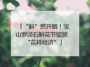 “斛”然开朗！宝山罗泾石斛花节绽放“花样经济”