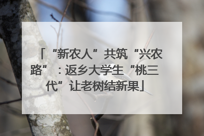 “新农人”共筑“兴农路”：返乡大学生“桃三代”让老树结新果