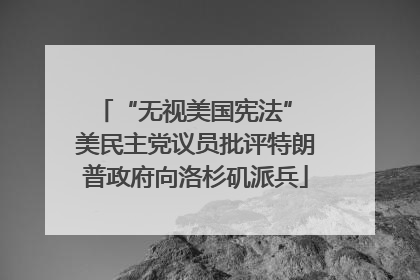 “无视美国宪法” 美民主党议员批评特朗普政府向洛杉矶派兵