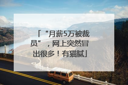 “月薪5万被裁员”，网上突然冒出很多！有猫腻