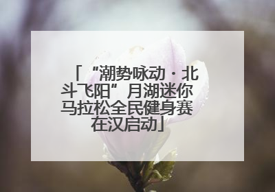 “潮势咏动・北斗飞阳”月湖迷你马拉松全民健身赛在汉启动