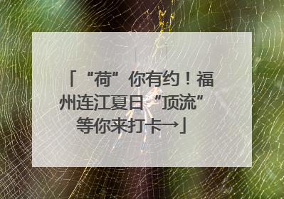 “荷”你有约！福州连江夏日“顶流”等你来打卡→