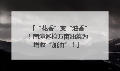 “花香”变“油香”！南漳巡检万亩油菜为增收“加油”！