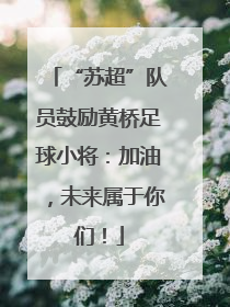 “苏超”队员鼓励黄桥足球小将：加油，未来属于你们！