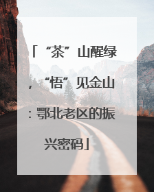 “茶”山醒绿，“悟”见金山：鄂北老区的振兴密码