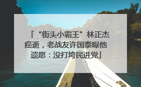 “街头小霸王”林正杰癌逝，老战友许国泰曝他遗愿：没打垮民进党