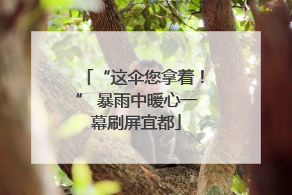 “这伞您拿着！” 暴雨中暖心一幕刷屏宜都