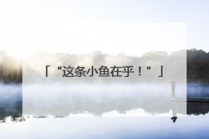“这条小鱼在乎！”